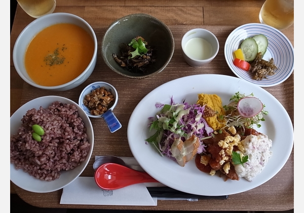 カモスカゴハン