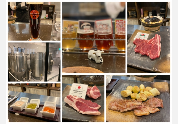 ビールと羊